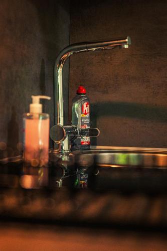 a bottle of coke sitting on a bathroom sink at GottwaldHaus-Freiberg-Apartment C in Freiberg