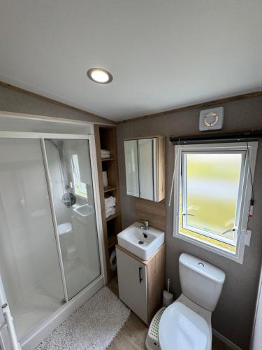 a bathroom with a toilet and a shower and a sink at Wildcat Lodge Grantown on Spey in Grantown on Spey