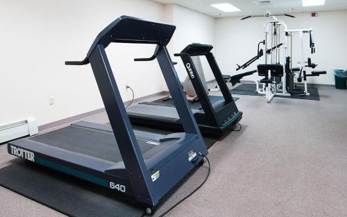 a gym with two tread machines in a room at Cold Spring Plymouth Resort in Ashland