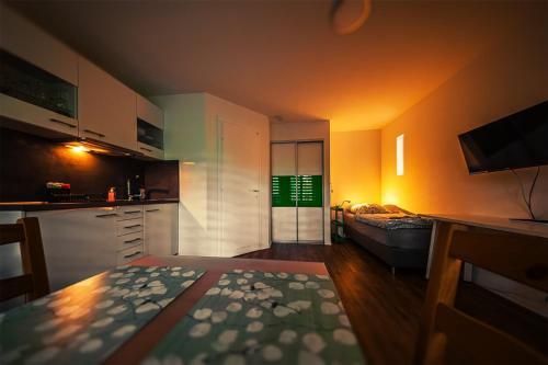 a room with a kitchen and a living room at GottwaldHaus-Freiberg-Apartment E in Freiberg