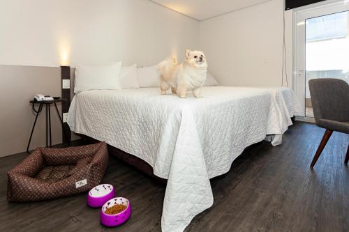 a dog sitting on top of a bed at Travel Inn Hotels Caxias do Sul in Caxias do Sul