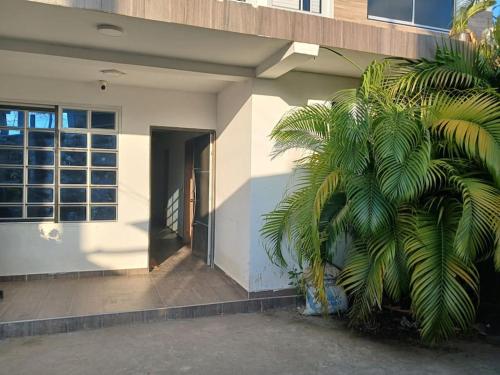 a palm tree in front of a building at Apartamento con 3 habitaciones playa a 10 minutos in Tumaco