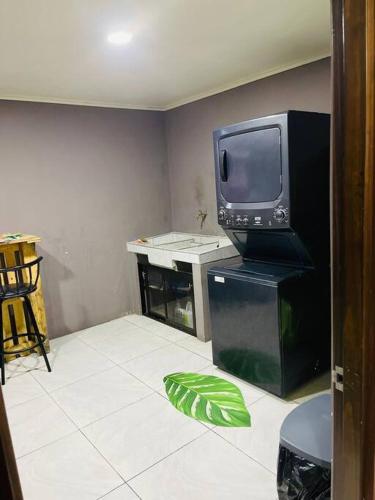 a living room with a television and a green leaf on the floor at Casa Caribe in Guápiles