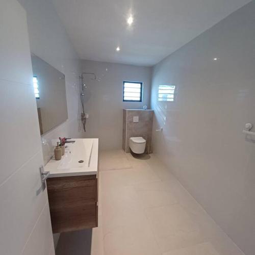 a bathroom with a sink and a toilet at Pelikaan apartment - Regal Rentals Curacao in Grote Berg