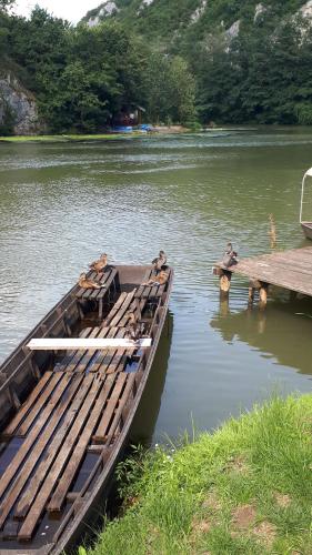 a group of people in the water next to a dock at Moravski konak- Moravian Inn in Ovčar Banja