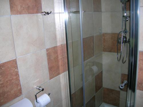 a shower with a glass door and a toilet at B&B Al Carotin in Mantello