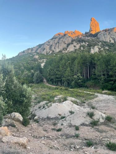 a view of a mountain with trees and rocks at La terrazza del borgo in Tempio Pausania