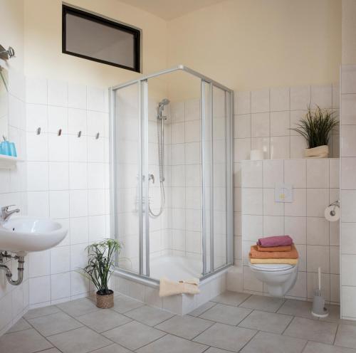 La salle de bains est pourvue d'une douche, de toilettes et d'un lavabo. dans l'établissement Alte Druckerei, à Quedlinbourg