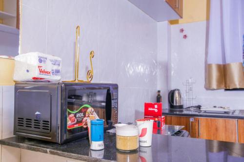 una encimera de cocina con microondas encima en The Urbanite Apartments, en Kitengela 