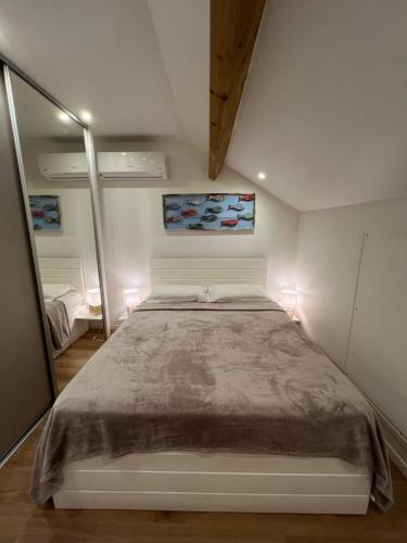 a bedroom with a large bed and a mirror at Appartement spacieux au village du flamboyant in Baie Nettle