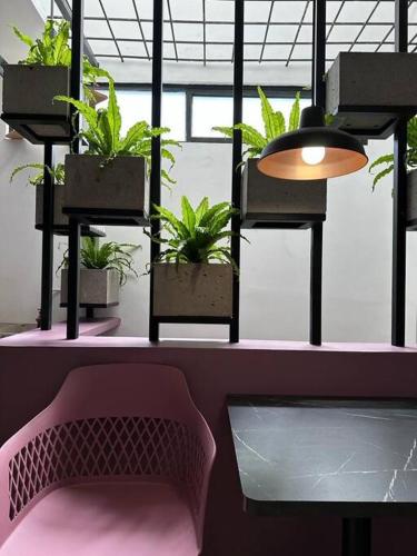 a room with potted plants and a pink chair at Apto de lujo con jacuzzi in Santa Rosa de Cabal