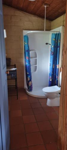 a bathroom with a toilet and a shower curtain at Kotuku Studio in Takaka