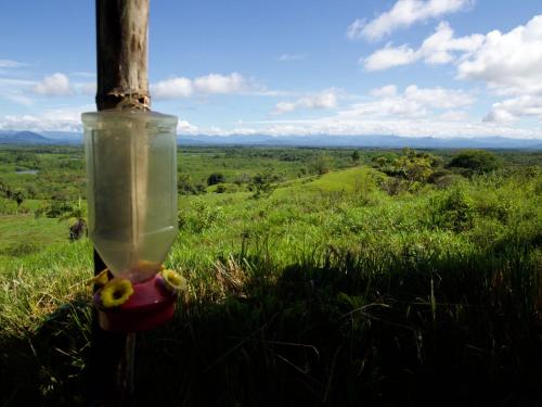Photo de la galerie de l'établissement Finca Colibri, à Boca Chica