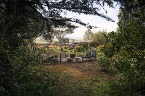 a group of benches in a yard with trees at Azalea Cedar-Rose Barossa Valley Villa in Lyndoch