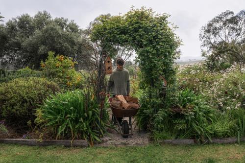 a man pushing a wheelbarrow in a garden at Azalea Cedar-Rose Barossa Valley Villa in Lyndoch