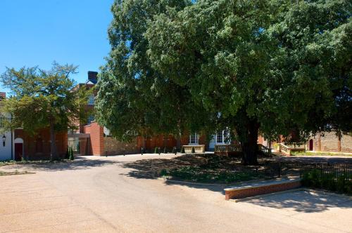 a park with a tree and benches in front of a building at GreyFriars in Colchester