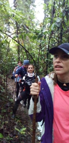 a group of people walking on a trail in the woods at Atacuari Salvaje Tours Amazonas in San Juan de Atacuari