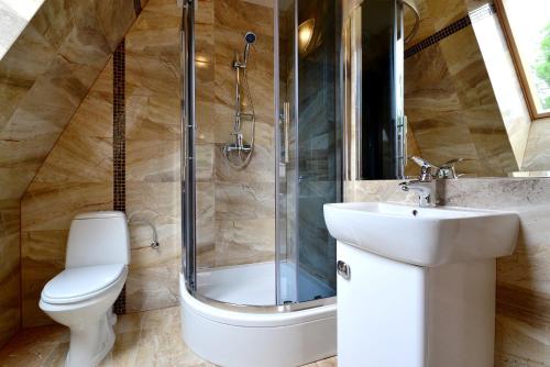 a bathroom with a shower and a toilet and a sink at Gościniec w Zakopanem in Zakopane
