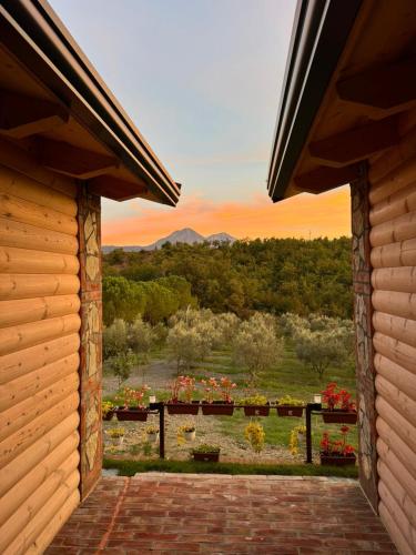 a view of a garden from a house window at Guest House Si n'shpi tande - Mrizi i Zanave in Fishtë