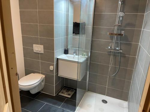 une salle de bain avec une douche avec des toilettes et un lavabo dans l'établissement Bel appartement T3 en résidence neuve avec parking et WIFI, proche du village et ski-bus - FR-1-624-168, à Samoëns