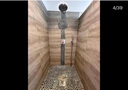 a shower with a shower head in a bathroom at LA BASTIDE DU SOLEIL avec piscine, calme, randonnée à proximité in Allegre Les Fumades
