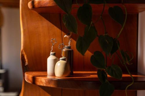 two bottles sitting on a wooden shelf with a plant at Peaceful Nelson getaway - spa pool, space & views in Nelson