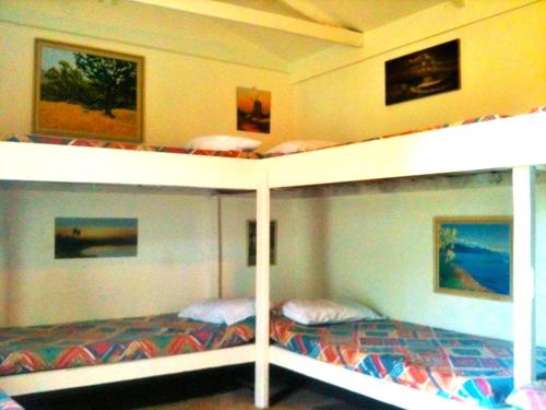 a bedroom with two bunk beds in a room at Taringatura Backpackers in Pukearuhe