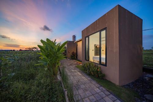 a house in the middle of a field at Wander Havens Digital Nomad Tiny Houses in Canggu