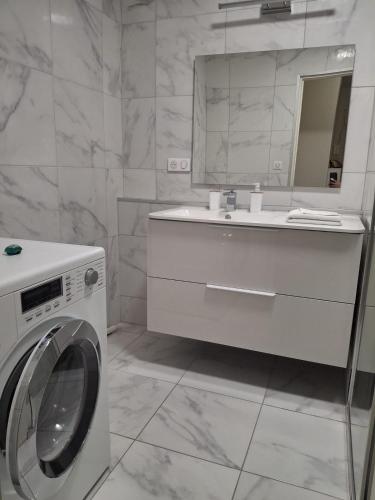 une salle de bain avec une machine à laver et un lavabo dans l'établissement 3 Pieces Apartment à Juan-les-Pins, à Antibes
