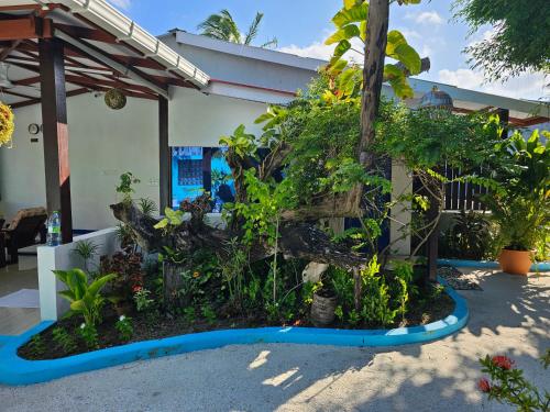 a garden in front of a house with a tree at Garden Rooms by Lagoon View in Bodufolhudhoo