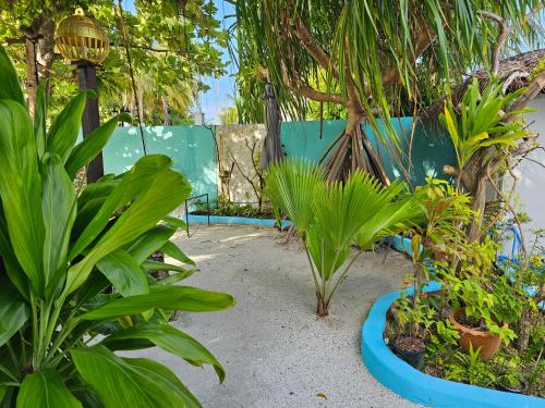 a garden with a bunch of plants and a fence at Garden Rooms by Lagoon View in Bodufolhudhoo