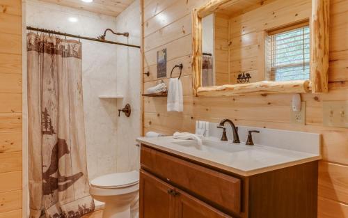 a bathroom with a sink and a toilet and a shower at The Foxtail Lodge in Gatlinburg