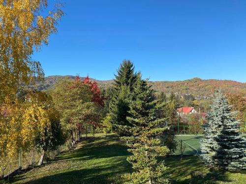 Gallery image of Pension Irina in Arefu