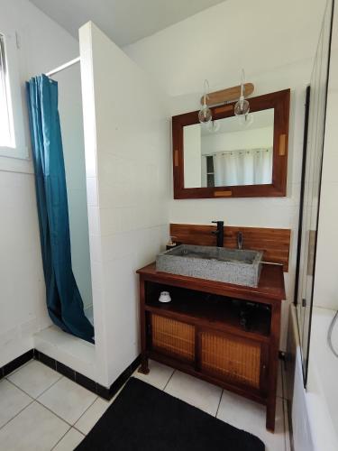 une salle de bain avec un lavabo et un miroir dans l'établissement Les jardins Ducarouge 2 climatisé, à Digoin