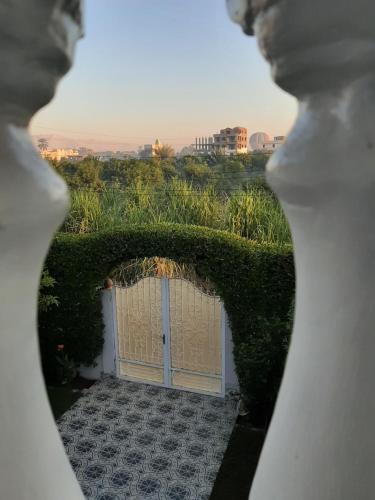 a view of a door through a bush at Panorama Hotel in Luxor