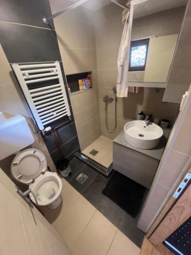 a small bathroom with a toilet and a sink at Brvnara Tarska Zora in Sekulić 