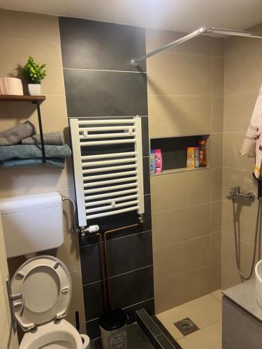 a bathroom with a toilet and a shower at Brvnara Tarska Zora in Sekulić 