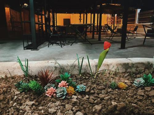 a red flower in a garden with some plants at Venn Hostel in Vientiane