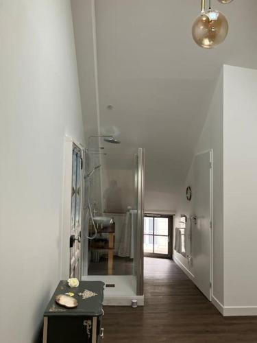 La salle de bains est pourvue d'une douche à l'italienne et d'un couloir. dans l'établissement Maison Centre de Loches, à Loches