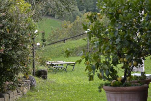 Zahrada ubytování Agriturismo Campo del Pillo