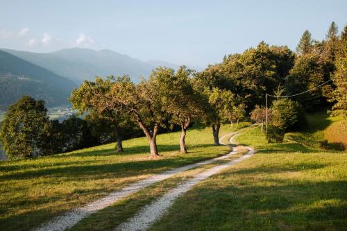 a dirt road in the middle of a field with trees at Apartsuites Rosengarten in Lagundo