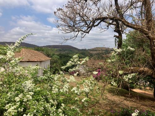 a garden with white flowers in front of a house at Suíte em casa ampla e confortável in Araxá
