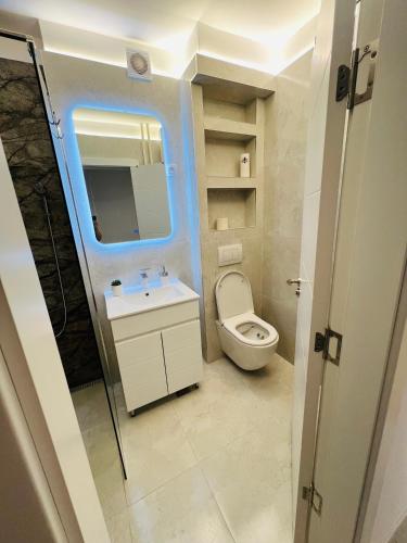 a bathroom with a toilet and a sink and a mirror at Apartment Ninana in Belgrade