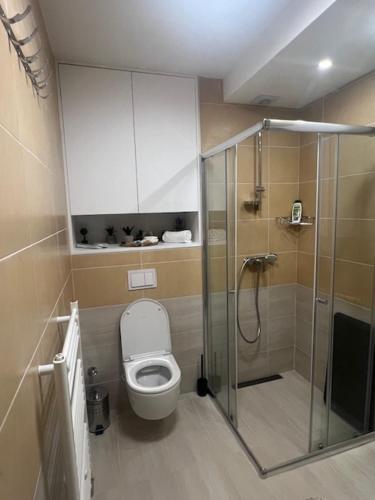 a bathroom with a toilet and a glass shower at Apartmani VinVucko Jahorina u sklopu aparthotela Vucko privatni apartmani in Jahorina