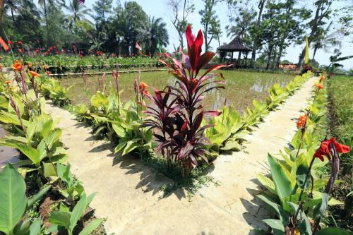a row of plants in a garden with flowers at Katumbiri Resort in Bogor