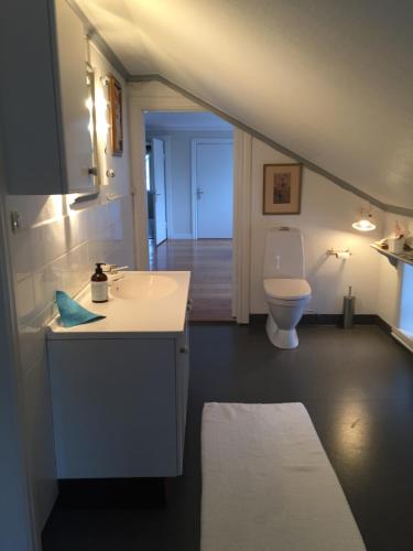a bathroom with a sink and a toilet at Romantic Villa in historic setting with lake view in Säffle