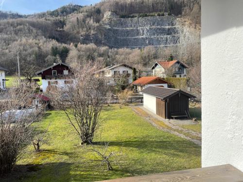 a group of houses in a field with a hill at Haus KaiserInn - komfortable Wohnung 82 qm TOP ausgestattet, 2 Schlafzimmer mit Balkon und Bergblick in Flintsbach