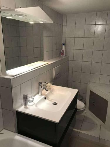 a bathroom with a sink and a mirror and a toilet at Idyllische Unterkunft Binninger Höhe in Binningen