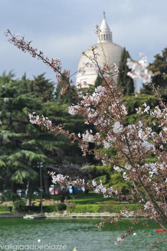 Stanza Del Principe photo 30