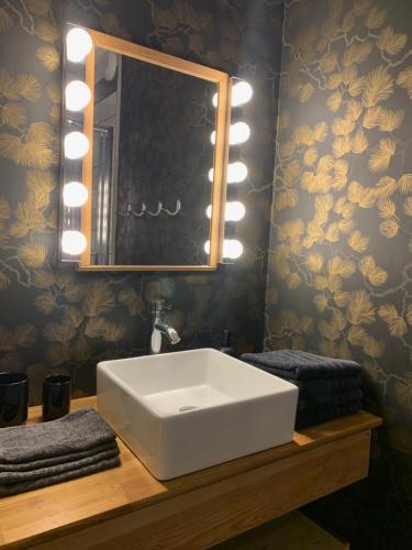 a bathroom with a white sink and a mirror at Charmant appartement sur cour, Le Cerisier in Bagnères-de-Bigorre